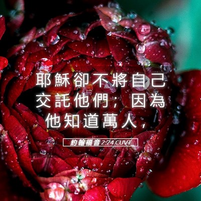 Picture 05 - 約 翰 福 音 2:24 CUVT - 耶 穌 卻 不 將 自 己 交 託 他 們 ； - Bible Verse Picture