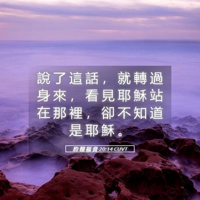 Picture 05 - 約 翰 福 音 20:14 CUVT - 說 了 這 話 ， 就 轉 過 身 來 ， 看 - Bible Verse Picture
