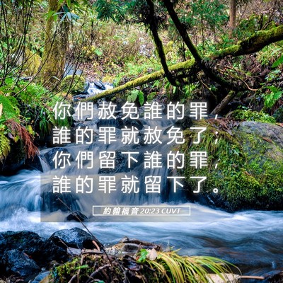Picture 05 - 約 翰 福 音 20:23 CUVT - 你 們 赦 免 誰 的 罪 ， 誰 的 罪 就 - Bible Verse Picture