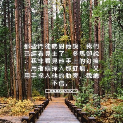 Picture 05 - 約 翰 福 音 20:25 CUVT - 那 些 門 徒 就 對 他 說 ： 我 們 已 - Bible Verse Picture