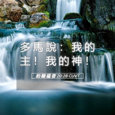Picture 05 - 約 翰 福 音 20:28 CUVT - 多 馬 說 ： 我 的 主 ！ 我 的 神 - Bible Verse Picture
