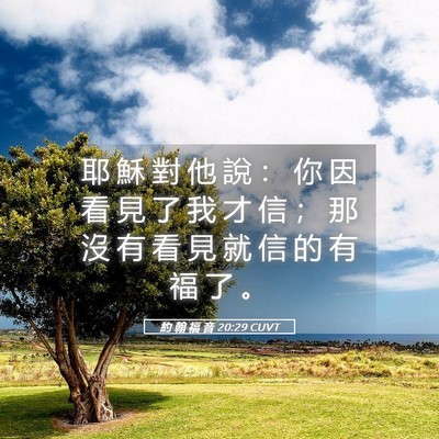 Picture 05 - 約 翰 福 音 20:29 CUVT - 耶 穌 對 他 說 ： 你 因 看 見 了 我 - Bible Verse Picture