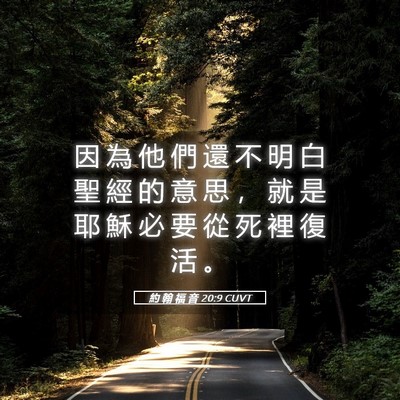 Picture 05 - 約 翰 福 音 20:9 CUVT - 因 為 他 們 還 不 明 白 聖 經 的 意 - Bible Verse Picture