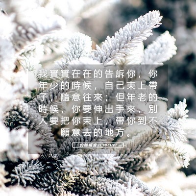 Picture 05 - 約 翰 福 音 21:18 CUVT - 我 實 實 在 在 的 告 訴 你 ， 你 年 - Bible Verse Picture