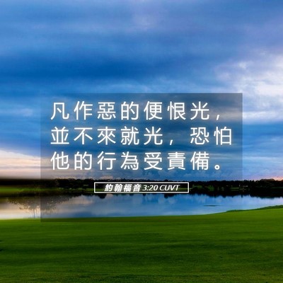 Picture 05 - 約 翰 福 音 3:20 CUVT - 凡 作 惡 的 便 恨 光 ， 並 不 來 就 - Bible Verse Picture