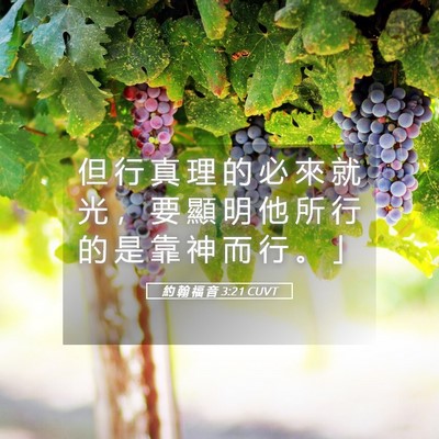 Picture 05 - 約 翰 福 音 3:21 CUVT - 但 行 真 理 的 必 來 就 光 ， 要 顯 - Bible Verse Picture