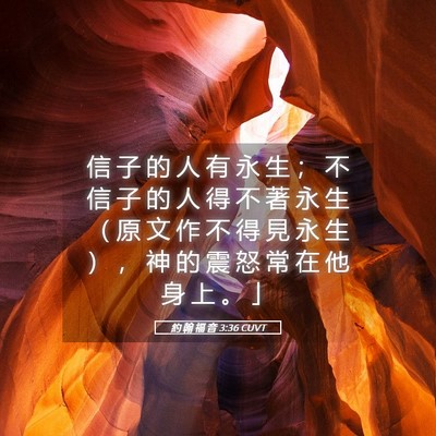 Picture 05 - 約 翰 福 音 3:36 CUVT - 信 子 的 人 有 永 生 ； 不 信 子 的 - Bible Verse Picture