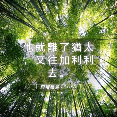 Picture 05 - 約 翰 福 音 4:3 CUVT - 他 就 離 了 猶 太 ， 又 往 加 利 利 - Bible Verse Picture