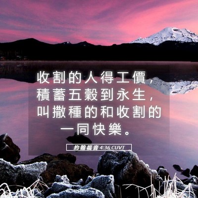 Picture 05 - 約 翰 福 音 4:36 CUVT - 收 割 的 人 得 工 價 ， 積 蓄 五 穀 - Bible Verse Picture