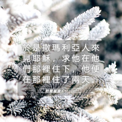 Picture 05 - 約 翰 福 音 4:40 CUVT - 於 是 撒 瑪 利 亞 人 來 見 耶 穌 ， - Bible Verse Picture