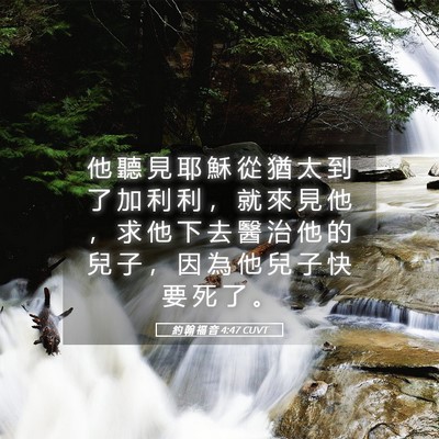 Picture 05 - 約 翰 福 音 4:47 CUVT - 他 聽 見 耶 穌 從 猶 太 到 了 加 利 - Bible Verse Picture