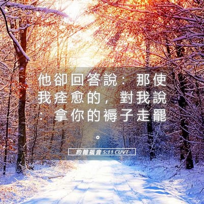 Picture 05 - 約 翰 福 音 5:11 CUVT - 他 卻 回 答 說 ： 那 使 我 痊 愈 的 - Bible Verse Picture