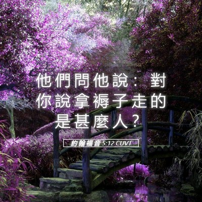 Picture 05 - 約 翰 福 音 5:12 CUVT - 他 們 問 他 說 ： 對 你 說 拿 褥 子 - Bible Verse Picture