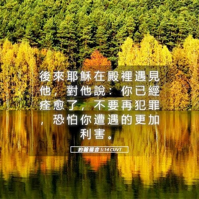 Picture 05 - 約 翰 福 音 5:14 CUVT - 後 來 耶 穌 在 殿 裡 遇 見 他 ， 對 - Bible Verse Picture