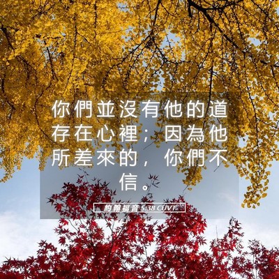 Picture 05 - 約 翰 福 音 5:38 CUVT - 你 們 並 沒 有 他 的 道 存 在 心 裡 - Bible Verse Picture