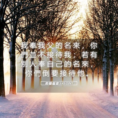 Picture 05 - 約 翰 福 音 5:43 CUVT - 我 奉 我 父 的 名 來 ， 你 們 並 不 - Bible Verse Picture