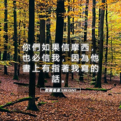 Picture 05 - 約 翰 福 音 5:46 CUVT - 你 們 如 果 信 摩 西 ， 也 必 信 我 - Bible Verse Picture