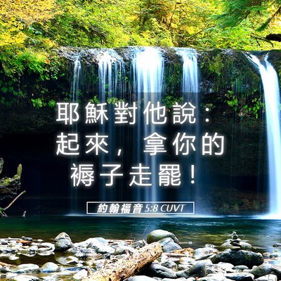 Picture 05 - 約 翰 福 音 5:8 CUVT - 耶 穌 對 他 說 ： 起 來 ， 拿 你 的 - Bible Verse Picture