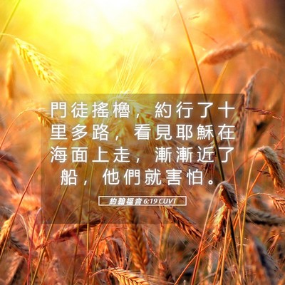Picture 05 - 約 翰 福 音 6:19 CUVT - 門 徒 搖 櫓 ， 約 行 了 十 里 多 路 - Bible Verse Picture