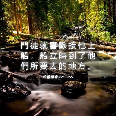 Picture 05 - 約 翰 福 音 6:21 CUVT - 門 徒 就 喜 歡 接 他 上 船 ， 船 立 - Bible Verse Picture