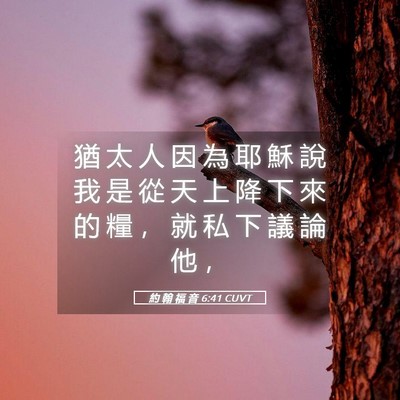 Picture 05 - 約 翰 福 音 6:41 CUVT - 猶 太 人 因 為 耶 穌 說 我 是 從 天 - Bible Verse Picture