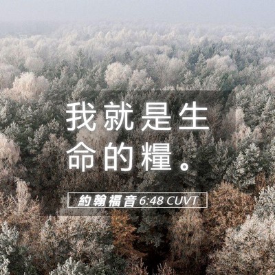 Picture 05 - 約 翰 福 音 6:48 CUVT - 我 就 是 生 命 的 糧 - Bible Verse Picture