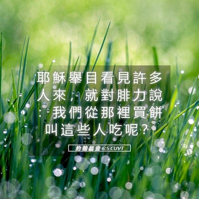 Picture 05 - 約 翰 福 音 6:5 CUVT - 耶 穌 舉 目 看 見 許 多 人 來 ， 就 - Bible Verse Picture