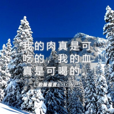 Picture 05 - 約 翰 福 音 6:55 CUVT - 我 的 肉 真 是 可 吃 的 ， 我 的 血 - Bible Verse Picture