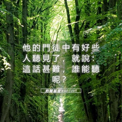 Picture 05 - 約 翰 福 音 6:60 CUVT - 他 的 門 徒 中 有 好 些 人 聽 見 了 - Bible Verse Picture