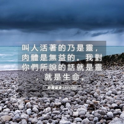 Picture 05 - 約 翰 福 音 6:63 CUVT - 叫 人 活 著 的 乃 是 靈 ， 肉 體 是 - Bible Verse Picture