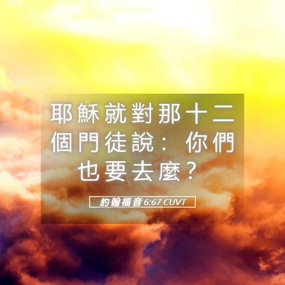 Picture 05 - 約 翰 福 音 6:67 CUVT - 耶 穌 就 對 那 十 二 個 門 徒 說 ： - Bible Verse Picture