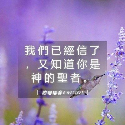 Picture 05 - 約 翰 福 音 6:69 CUVT - 我 們 已 經 信 了 ， 又 知 道 你 是 - Bible Verse Picture