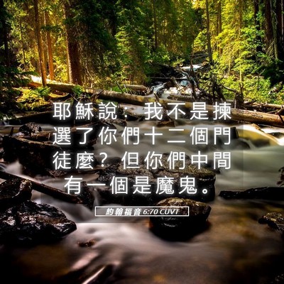 Picture 05 - 約 翰 福 音 6:70 CUVT - 耶 穌 說 ： 我 不 是 揀 選 了 你 們 - Bible Verse Picture