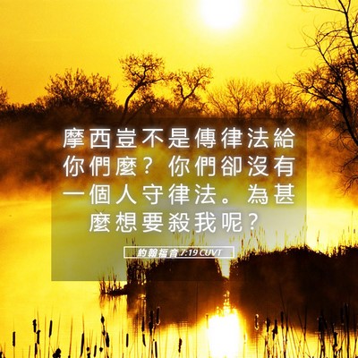 Picture 05 - 約 翰 福 音 7:19 CUVT - 摩 西 豈 不 是 傳 律 法 給 你 們 麼 - Bible Verse Picture
