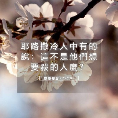 Picture 05 - 約 翰 福 音 7:25 CUVT - 耶 路 撒 冷 人 中 有 的 說 ： 這 不 - Bible Verse Picture
