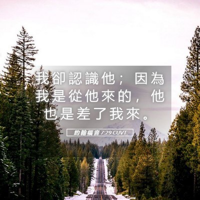 Picture 05 - 約 翰 福 音 7:29 CUVT - 我 卻 認 識 他 ； 因 為 我 是 從 他 - Bible Verse Picture