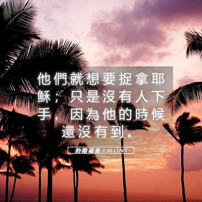 Picture 05 - 約 翰 福 音 7:30 CUVT - 他 們 就 想 要 捉 拿 耶 穌 ； 只 是 - Bible Verse Picture