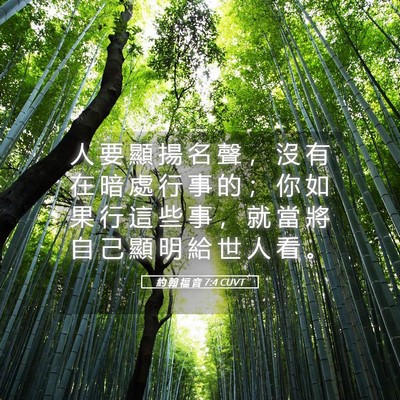 Picture 05 - 約 翰 福 音 7:4 CUVT - 人 要 顯 揚 名 聲 ， 沒 有 在 暗 處 - Bible Verse Picture