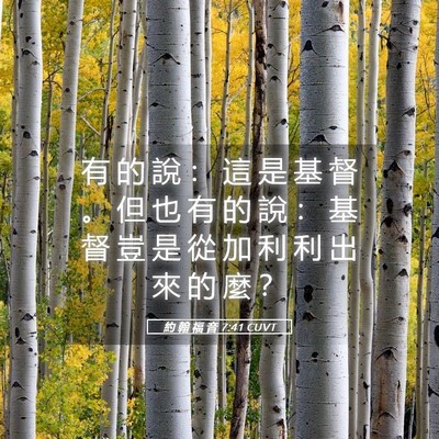 Picture 05 - 約 翰 福 音 7:41 CUVT - 有 的 說 ： 這 是 基 督 。 但 也 有 - Bible Verse Picture