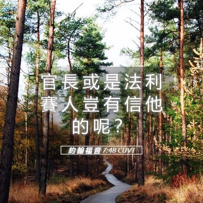 Picture 05 - 約 翰 福 音 7:48 CUVT - 官 長 或 是 法 利 賽 人 豈 有 信 他 - Bible Verse Picture