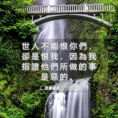 Picture 05 - 約 翰 福 音 7:7 CUVT - 世 人 不 能 恨 你 們 ， 卻 是 恨 我 - Bible Verse Picture