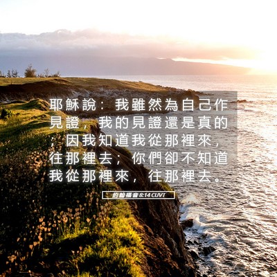 Picture 05 - 約 翰 福 音 8:14 CUVT - 耶 穌 說 ： 我 雖 然 為 自 己 作 見 - Bible Verse Picture