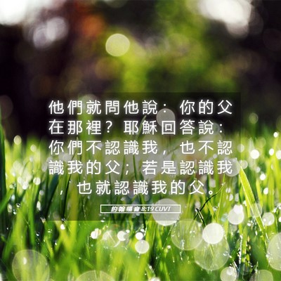 Picture 05 - 約 翰 福 音 8:19 CUVT - 他 們 就 問 他 說 ： 你 的 父 在 那 - Bible Verse Picture