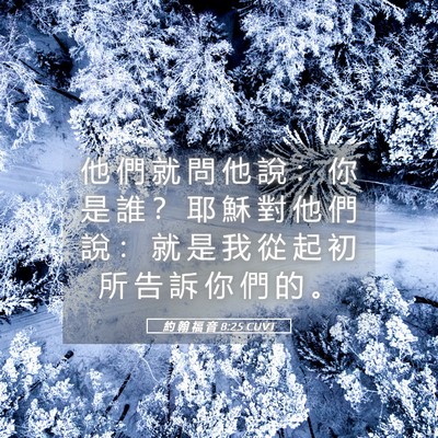 Picture 05 - 約 翰 福 音 8:25 CUVT - 他 們 就 問 他 說 ： 你 是 誰 ？ 耶 - Bible Verse Picture