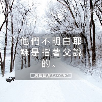Picture 05 - 約 翰 福 音 8:27 CUVT - 他 們 不 明 白 耶 穌 是 指 著 父 說 - Bible Verse Picture