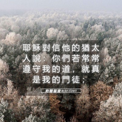 Picture 05 - 約 翰 福 音 8:31 CUVT - 耶 穌 對 信 他 的 猶 太 人 說 ： 你 - Bible Verse Picture