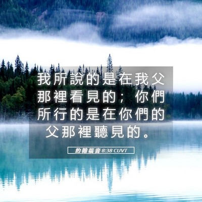Picture 05 - 約 翰 福 音 8:38 CUVT - 我 所 說 的 是 在 我 父 那 裡 看 見 - Bible Verse Picture