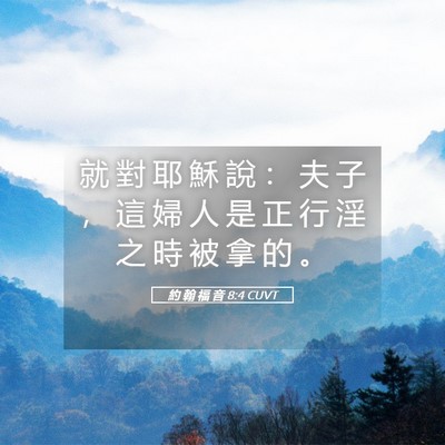 Picture 05 - 約 翰 福 音 8:4 CUVT - 就 對 耶 穌 說 ： 夫 子 ， 這 婦 人 - Bible Verse Picture
