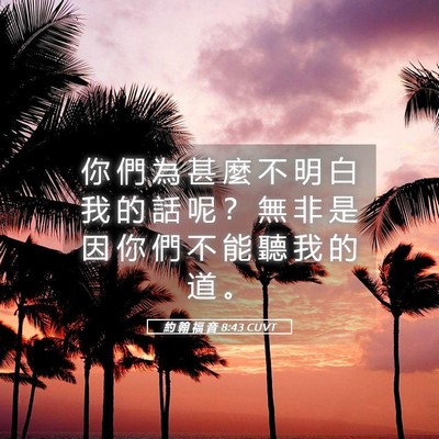 Picture 05 - 約 翰 福 音 8:43 CUVT - 你 們 為 甚 麼 不 明 白 我 的 話 呢 - Bible Verse Picture