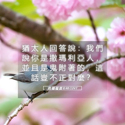 Picture 05 - 約 翰 福 音 8:48 CUVT - 猶 太 人 回 答 說 ： 我 們 說 你 是 - Bible Verse Picture